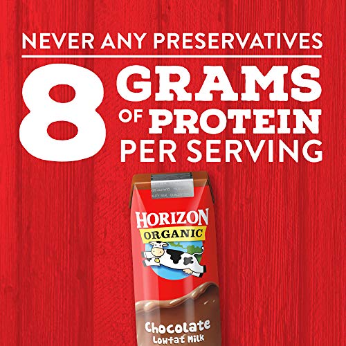 Horizon Organic Horizon Organic Shelf-Stable Whole Milk Boxes, Whole Milk Single Serve, 8 oz, 6 Pack, 8.0 fl oz (Pack of 6)