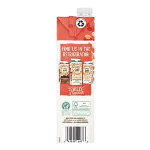 Planet Oat Oatmilk Without Lactose or Dairy NonGMO, Original, 32 Fl Oz (Pack of 6)