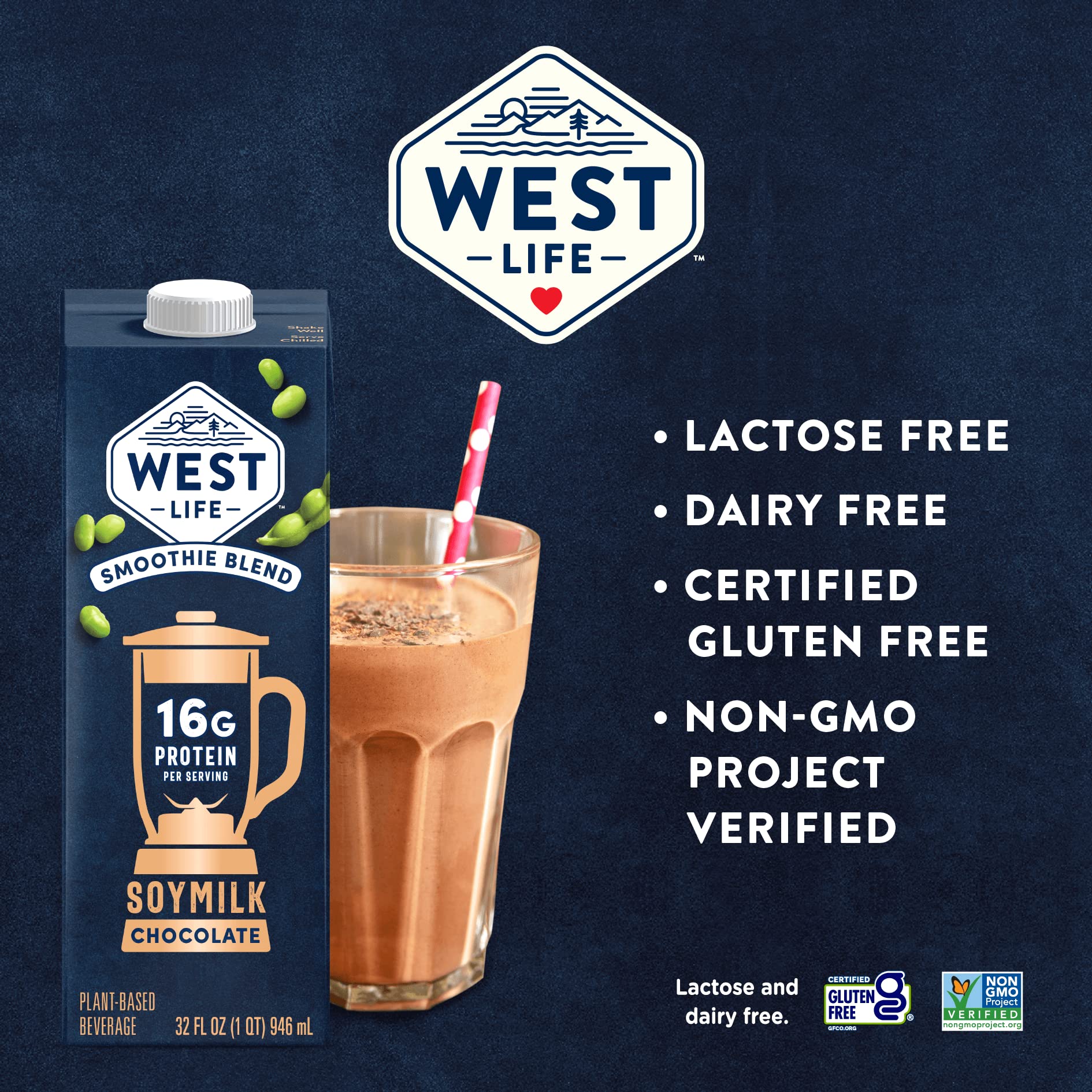 West Life Smoothie Blend Soy Milk, Chocolate, 16g of Protein, Vegan Dairy Alternative, Lactose-Free, 32oz (Pack of 12)