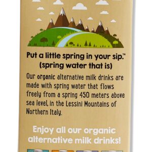 Better Than Milk Organic Oat Milk Unsweetened - Dairy-Free Vegan Friendly, Non GMO Certified, 33.8 Fl Oz (Pack of 6)