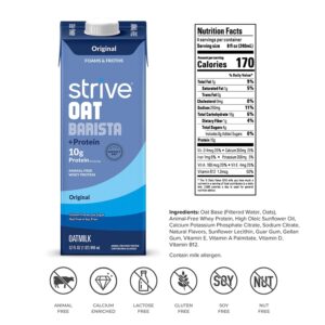 Strive Oat Barista with Protein, 10g Protein per Serving, 32 fl. oz (Pack of 6), Animal-Free Whey Protein, Precision Fermentation, Perfect Day, Alt Milk