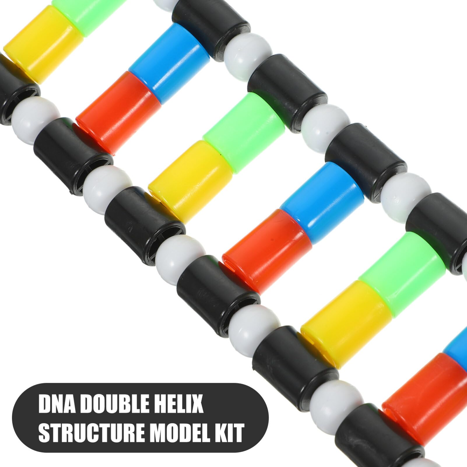 iplusmile DNA Model Kit Double Helix Structure DNA Models Biological Science Popularization Teaching Aids Early Education Toys for DNA Assembling