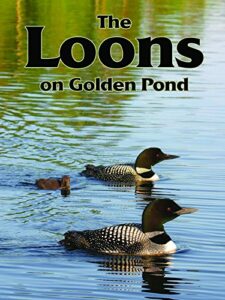 the loons on golden pond