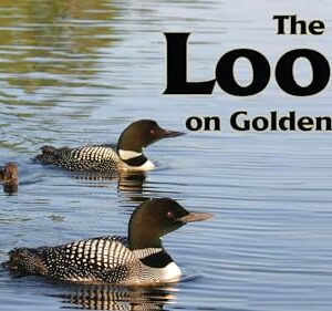 The Loons On Golden Pond