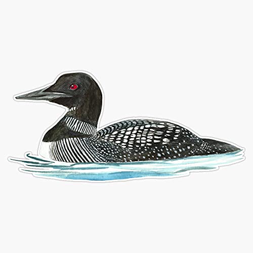 Common Loon Vinyl Sticker Waterproof Bumper Sticker Laptop Window Decal 5 inch (LEU3-SM-STICKERS-6333)