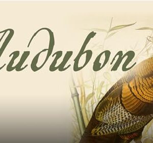 Audubon