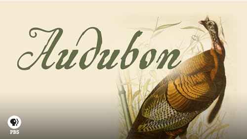 Audubon