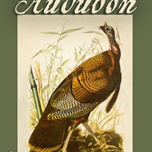 Audubon