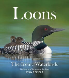 loons: the iconic waterbirds (favorite wildlife)