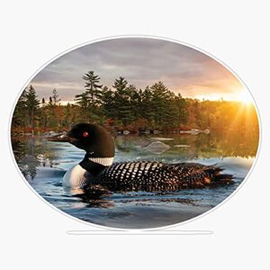 Loon Vinyl Sticker Waterproof Bumper Sticker Laptop Window Decal 5"