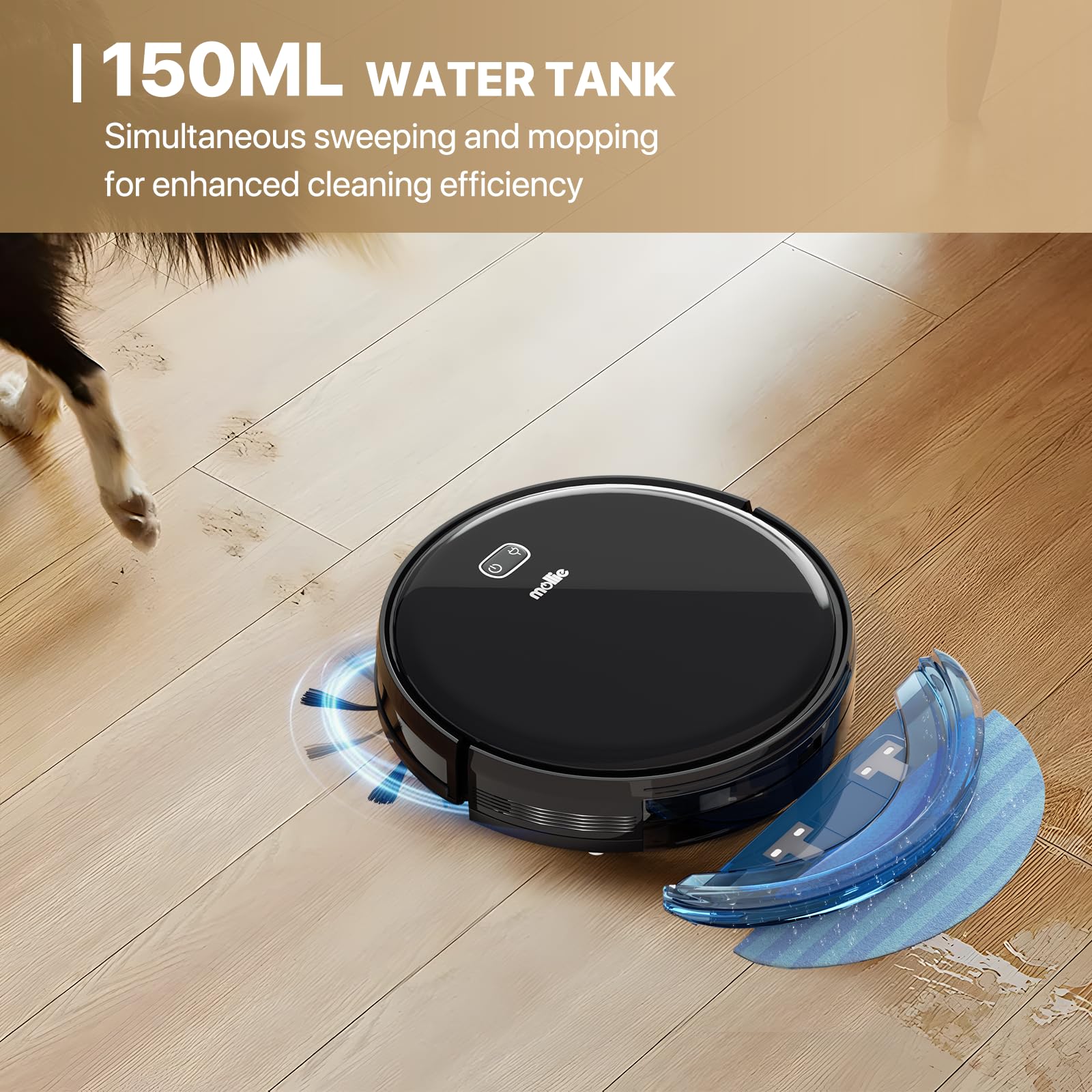 mollie Robot Vacuum and Mop with Wi-Fi/App, Automatic Self-Charging Robotic Vacuum Cleaner, 2800Pa Suction, Slim, Good for Hard Floors Carpets, Black