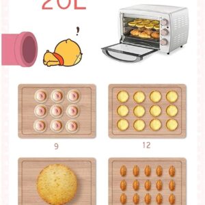 Tabletop Electric Oven 20L Multifunctional Small Oven Bread Baking Machine 1200W Includes Grilled Net, Enamel Pickup Clamp and Baking Pan