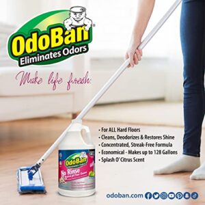 OdoBan Pet Solutions Neutral pH Floor Cleaner Concentrate, 1 Gallon, and Oxy Stain Remover, 32 Ounce Spray