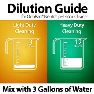 OdoBan Pet Solutions Neutral pH Floor Cleaner Concentrate, 1 Gallon, and Oxy Stain Remover, 32 Ounce Spray