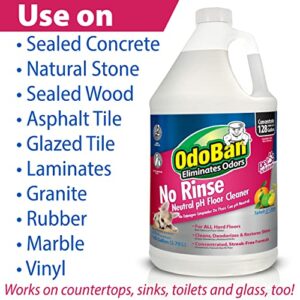 OdoBan Pet Solutions Neutral pH Floor Cleaner Concentrate, 1 Gallon, and Oxy Stain Remover, 32 Ounce Spray