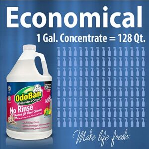 OdoBan Pet Solutions Neutral pH Floor Cleaner Concentrate, 1 Gallon, and Oxy Stain Remover, 32 Ounce Spray