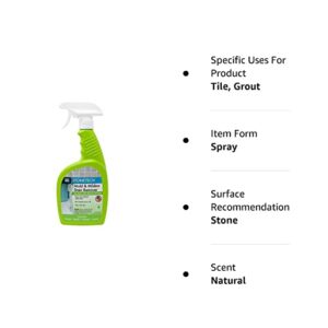 STONETECH Mold & Mildew Stain Remover 24oz Spray Bottle