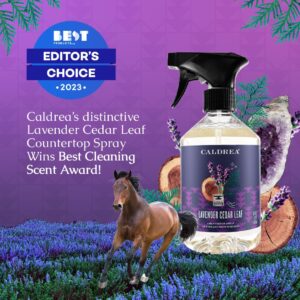 Caldrea Multi-surface CounterTop Spray Cleaner, Made With Vegetable Protein Extract, Lavendar Cedar Leaf Scent, 16 Oz