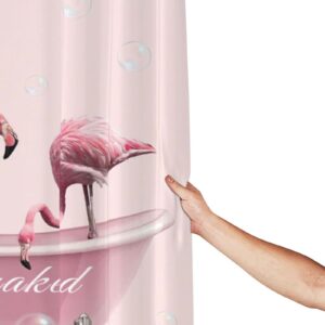 Pink Flamingo Shower Curtain Flamingo Tropical Bathroom Decor Get Naked Animals Shower Curtain Fabric Polyester Waterproof with Plastic Hooks 60" X 72"