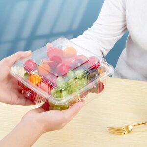 Xanllaxa 100 PCS Clear Plastic Square Hinged Food Container,Plastic Take Out Containers,Disposable Clamshell Food Containers for Salads,Pasta,Dessert,Sandwiches(5.3x4.7x2.8 In)