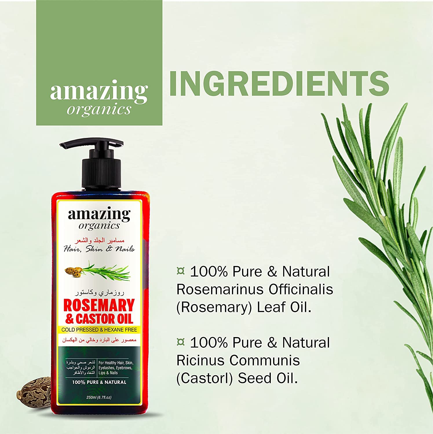 AmazingOrganics Rosemary and Castor Oil - 100% Pure Organic Non-GMO Cold-Pressed Castor Oil for Healthy Hair, Skin, Nails, Eyebrows, and Eyelashes 250 ml