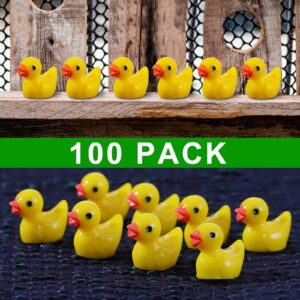 100 Pcs Mini Resin Ducks Bulk Tiny Ducks Set for Potted Miniature Decoration Garden Dollhouse Cake Decoration DIY Slime Kit Craft Charms Party Toys