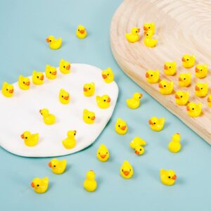 FRIUSATE 100 PCS Mini Resin Duck Miniature Duck Figures Micro Landscape Aquarium Dollhouse Ornament Potted Plants Decoration DIY Charms for Birthday Party Accessories, Tiny Duck(Yellow)