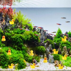 FRIUSATE 100 PCS Mini Resin Duck Miniature Duck Figures Micro Landscape Aquarium Dollhouse Ornament Potted Plants Decoration DIY Charms for Birthday Party Accessories, Tiny Duck(Yellow)