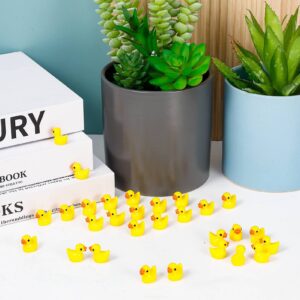 FRIUSATE 100 PCS Mini Resin Duck Miniature Duck Figures Micro Landscape Aquarium Dollhouse Ornament Potted Plants Decoration DIY Charms for Birthday Party Accessories, Tiny Duck(Yellow)