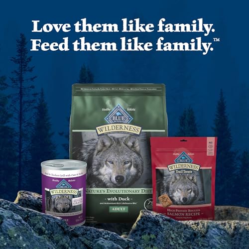 Blue Buffalo Wilderness Natural High-Protein Dry Food for Adult Dogs, with Wholesome Grains, Duck, 28-lb bag.