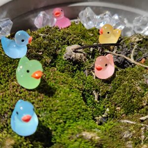 120 Pcs Mini Ducks Bulk,Tiny Ducks,Mini Resin Ducks Miniature Duck Figures Ornament Little Ducks for Craft,Dollhouse,Home Decorations Birthday Party Gift