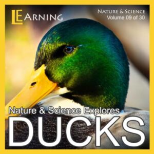 ducks (nature & science)