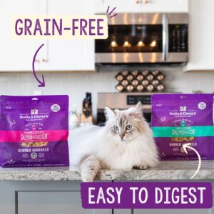 Stella & Chewy's Freeze-Dried Raw Cat Dinner Morsels – Grain Free, Protein Rich Cat & Kitten Food – Duck Duck Goose Recipe – 8 oz Bag