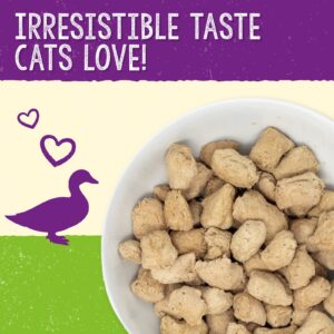 Stella & Chewy's Freeze-Dried Raw Cat Dinner Morsels – Grain Free, Protein Rich Cat & Kitten Food – Duck Duck Goose Recipe – 8 oz Bag