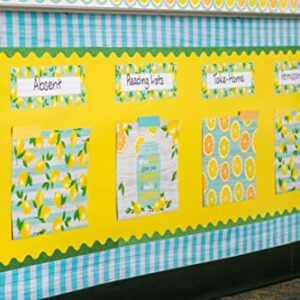 Teacher Created Resources Lemon Yellow Better Than Paper Bulletin Board Roll (TCR77043)