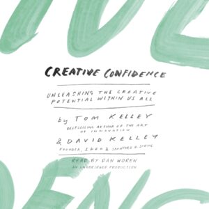 creative confidence: unleashing the creative potential within us all