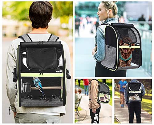 Pecute Bird Carrier Backpack, Parrots Bird Backpack with Visible Window, Adjustable Height Standing Perch, Feeding Cans, Waterproof Pads, Lightweight Foldable Birds Travel Cage for Hiking Camping