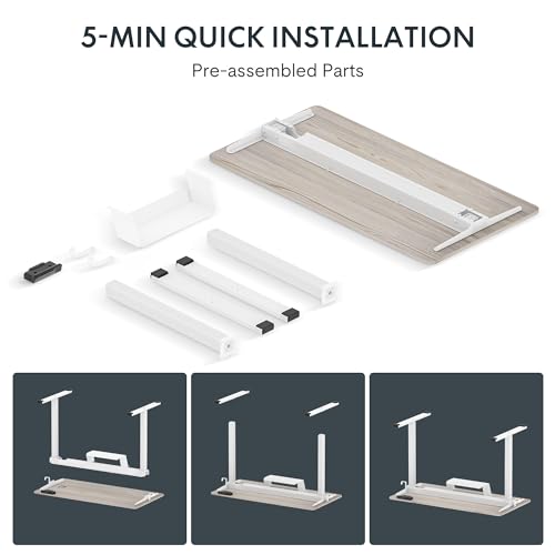 FLEXISPOT Standing Desk Quick Assembly Electric Adjustable with 48 x 24 Inches Whole-Piece Desktop Ergonomic Memory Controller Stand Up Desk(White Frame + 48" Grey Wood Grain)