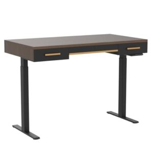 FEZIBO Mid Century Modern Electric Standing Desk with 3 Drawers, 48 x 26 Inches Whole Piece Sit Stand Up Home Office Desk, Black Walnut Top with Black Frame (2 Packages)