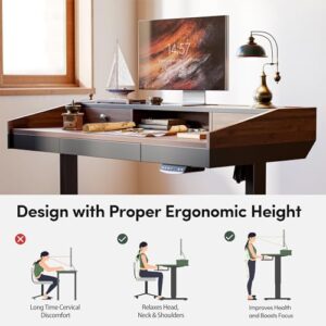 FEZIBO 55" Whole-Piece Standing Desk Adjustable Height with drawers, 55 x 24 inches Electric Adjustable Desk with Monitor Shelf, Sit Stand Rising Desk with baffle, Black Walnut