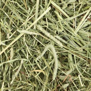 Kaytee All Natural Timothy Hay Plus Mint for Guinea Pigs, Rabbits & Other Small Animals, 24 Ounce