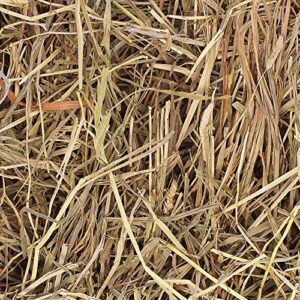 Grandpa's Best Timothy Hay for Rabbits, Guinea Pigs, Chinchillas, Hamsters & Gerbils, 20lb Loose Boxed, Brown