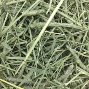 Oxbow Animal Health Western Timothy Hay - All Natural Hay for Rabbits, Guinea Pigs, Chinchillas, Hamsters & Gerbils - 50 lb. Bulk Size