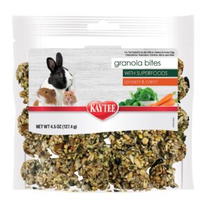 kaytee granola bites with superfoods spinach and carrot for rats, mice, hamsters, gerbils, rabbits, guinea pigs and chinchillas, 4.5oz