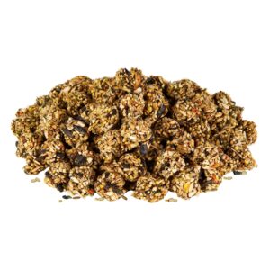 Kaytee Granola Bites with Superfoods Spinach and Carrot for Rats, Mice, Hamsters, Gerbils, Rabbits, Guinea Pigs and Chinchillas, 4.5oz