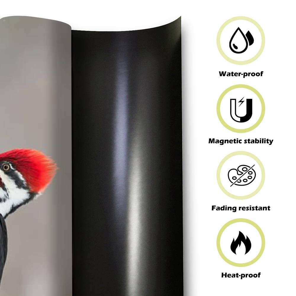 Dishwasher Magnet Cover Male Pileated Woodpecker Winter Magnetic Refrigerator Stickers Decorative Appliance Cover Fridge Panels Metal Door Garage 23x26in Creative Gift Idea for Bird Lovers