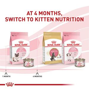 Royal Canin Feline Health Nutrition Mother & Babycat Dry Cat Food, 3 lb Bag