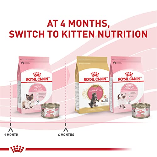 Royal Canin Feline Health Nutrition Mother & Babycat Dry Cat Food, 3 lb Bag