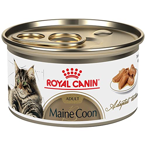 Royal Canin Feline Breed Nutrition Maine Coon Adult Thin Slices in Gravy Canned Cat Food, 3 oz can (24-count)