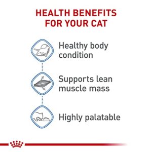 Royal Canin Feline Weight Care Thin Slices in Gravy Canned Adult Wet Cat Food, 3 oz can (12-count)